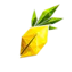 LimonMc