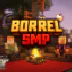 BorrelSMP